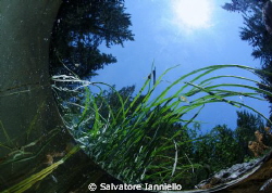 emersione by Salvatore Ianniello 